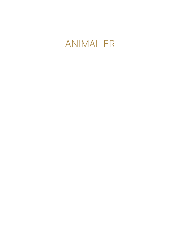 ANIMALIER TATSUYA MATSUDA